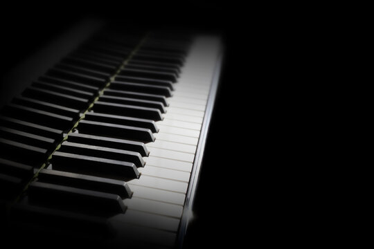 Piano keyboard. Grand piano keys