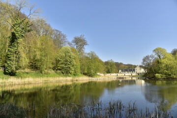 Fototapeta na wymiar Le petit étang de Lange Gracht avec à son bout l'abbaye du Rouge-Cloître en pleine nature de la forêt de Soignes au printemps 