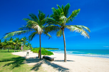 Fototapeta na wymiar tropical beach in Sri Lanka