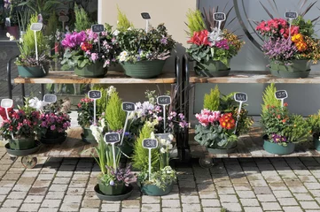 Cercles muraux Fleuriste magasin de fleurs