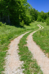 Fototapeta na wymiar A curving road leads the eye into the distance on a vibrant spring morning..