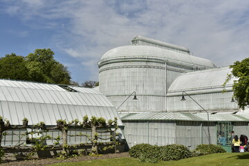Les Serres Royales de Laeken enduites de chaux pour protéger la vaste collection de plantes...