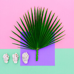 Shells and palm trees. Vacation concept. Minimal art