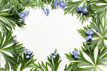Green leaves and blue flowers on white background. Top view with copy space. Isolated.