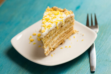 Piece of cake on plate.