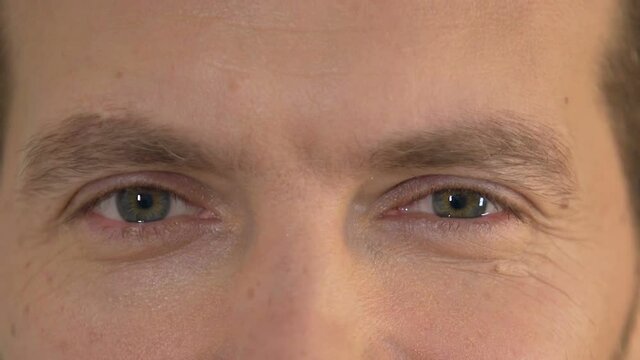Emotional man looking into camera, male smiling and flirting with someone
