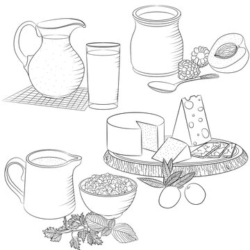Vector line art illustration with food. Set with various dairy products. Illustration for menu, cookbook or coloring book. Sketch isolated on white background