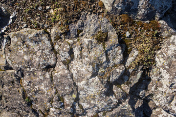 a beautiful stone,a rock with a grey, white, green with moss,
