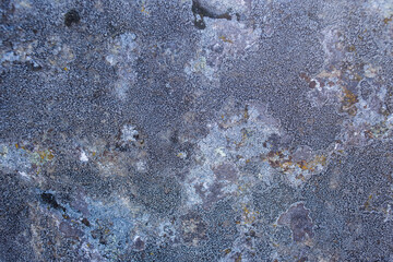 a beautiful stone,a rock with a grey, white, green with moss,