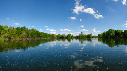 Panorama landscape. Beautiful summer lake with cloudy sky background. Water mirror with poplar...