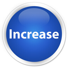 Increase premium blue round button
