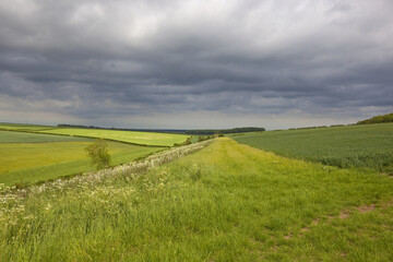 Fototapeta na wymiar country landscape with storm clouds
