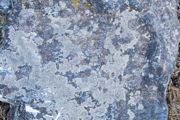 gray white-colored beautiful stones, rocks with moss, close-up, nature, texture