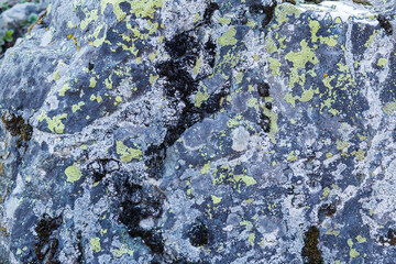 gray white-colored beautiful stones, rocks with moss, close-up, nature, texture