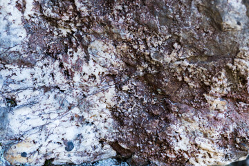 gray white-colored beautiful stones, rocks with moss, close-up, nature, texture