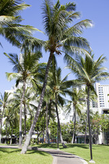 Waikiki District Park