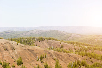beautiful wild nature, pine forests, high mountains, landscape, summer, sun