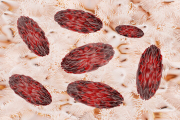 Brucella bacteria  is the cause of brucellosis Medical 3D Illustration rendering