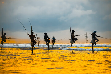 Fototapeta na wymiar Traditional fishermen on sticks at the sunset in Sri Lanka.