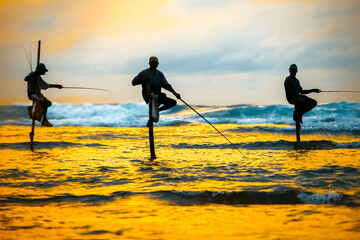 Traditional fishermen on sticks at the sunset in Sri Lanka.