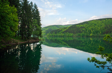Fototapeta na wymiar Shore pine forest near lake on background green mountains