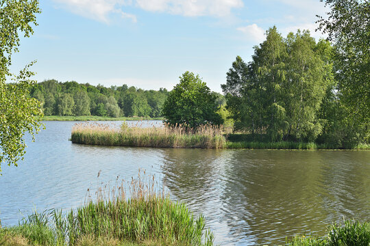 Jezioro Paprocany Tychy