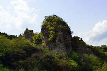 Fototapeta na wymiar 仙岩山
