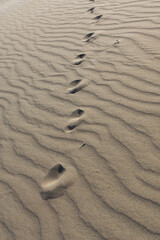 Footsteps on the sand