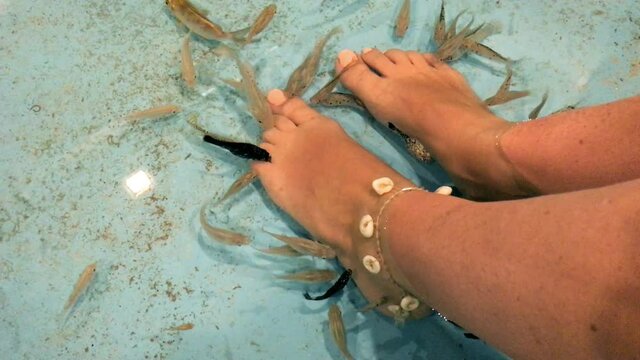 Tropical fish spa