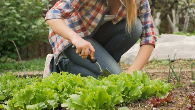 4k closeup shot of young woman working at garden with gardening tools
