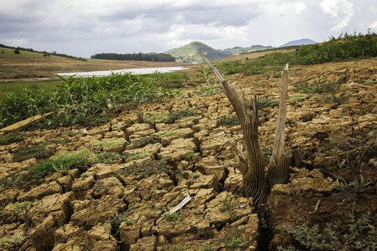 Drought soil in brazilian cantareira dam