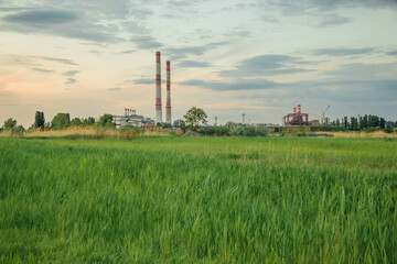 A green glade on background of the industrial zone