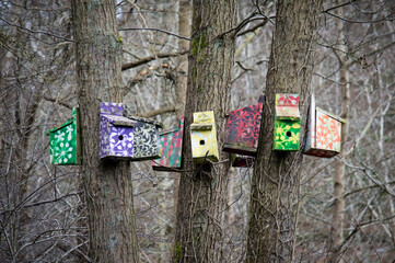 Bird boxes brightly decorated
