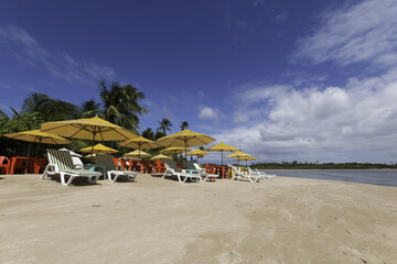 Fototapeta na wymiar Umbrellas and beach chairs on beautiful tropical beach and sea and blue sky, vacation concept