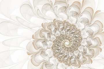 Fototapeta na wymiar beautiful bright white background with fractal shell or a flower