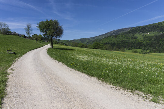 Weg mit Bank entlang einer Blumenwiese