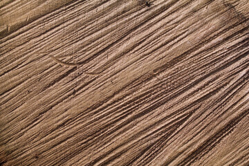 Rough Oak Cross Section Texture