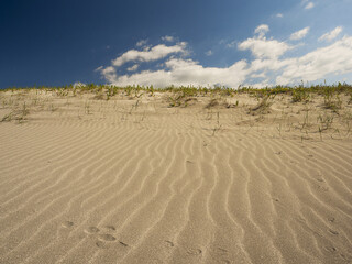 Sand dune, natural pattern on a sand surface with some grass and cloudy clouds.