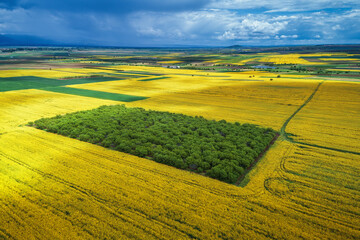 Fototapeta premium Aerial view over the agricultural fields