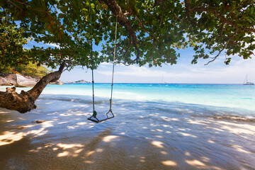 Pristine beach with turquoise water and rope swing