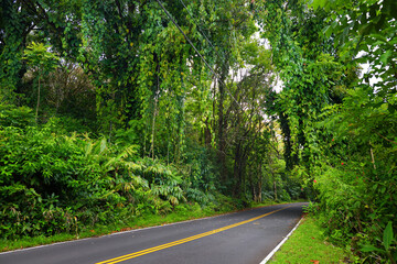 Famous Road to Hana fraught with narrow one-lane bridges, hairpin turns and incredible island views, Maui, Hawaii