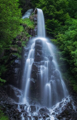 Wasserfall und Bäume