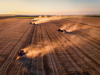 Aerial view of Combine harvester agriculture machine harvesting golden ripe wheat field