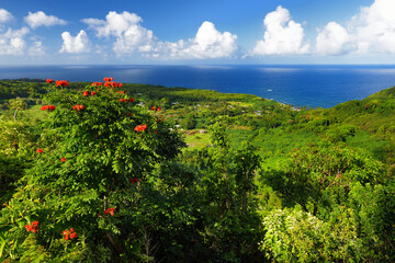 Beautiful views of Maui North coast seen from famous winding Road to Hana