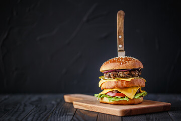 Delicious double burger on a beautiful background