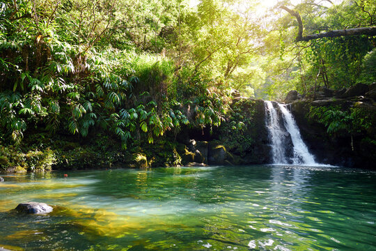 Tropical waterfall Lower Waikamoi Falls and a small crystal clear pond, inside of a dense tropical rainforest, off the Road to Hana Highway, Maui, Hawaii © MNStudio