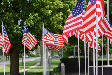 American flags waving outside in park by war memorial