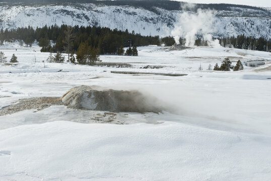 Geyser, Winter, Upper Geyser Basin, Yellowstone NP