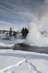 Fototapeta na wymiar Riverside Geyser, Winter, Yellowstone NP