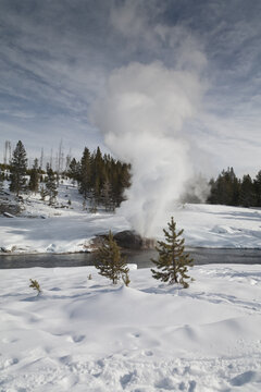 Riverside Geyser, Winter, Yellowstone NP